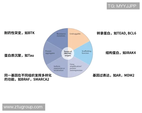 杭州排球队战术创新与团队协作的深度解析与展望