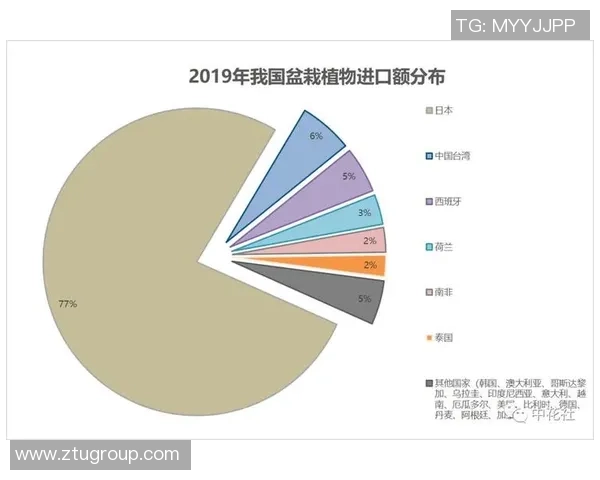 独家分析：杭州排球队的速度对比